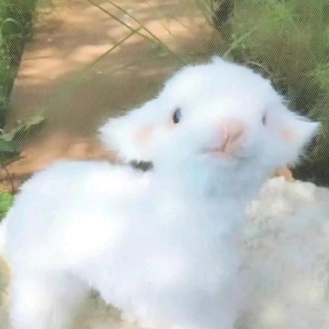 Un