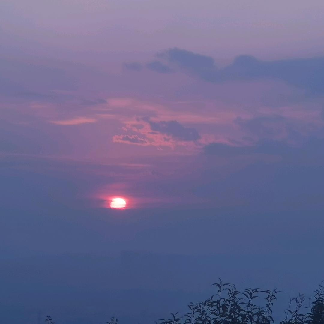 燕麦