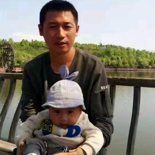 鹰
