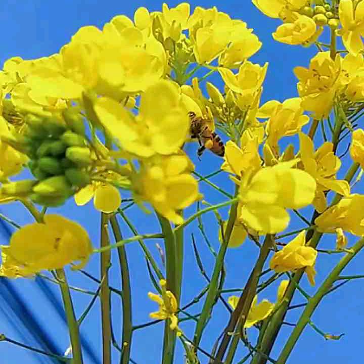 陈科宏——独一无二的自己