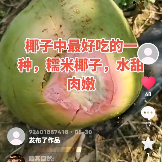 ꧁💞学哥💞᭄᪲ᩚ꯭ᩚ꧂