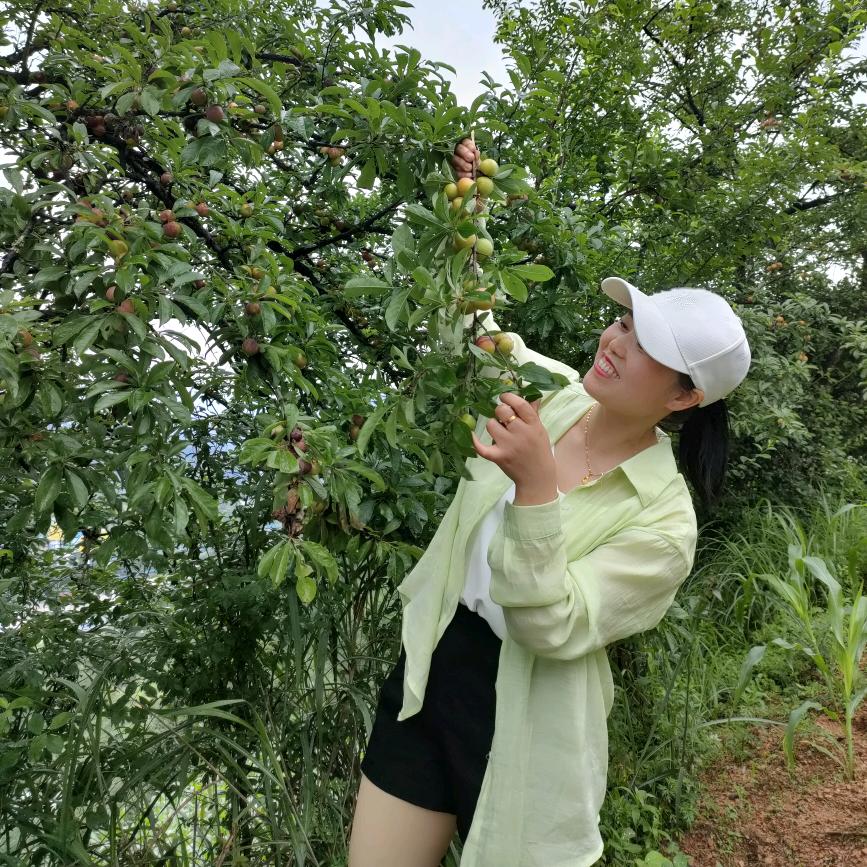 🌹舒姑凉🍁