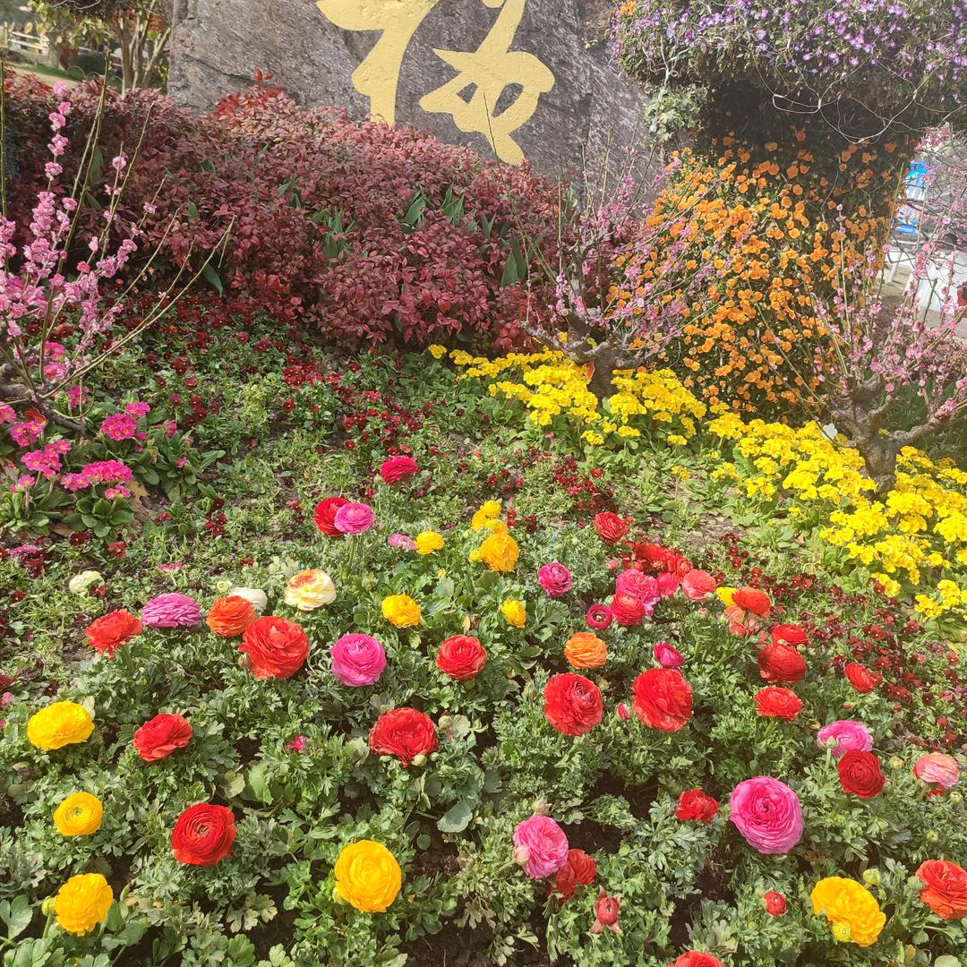 柔柔(修补羊毛衫)