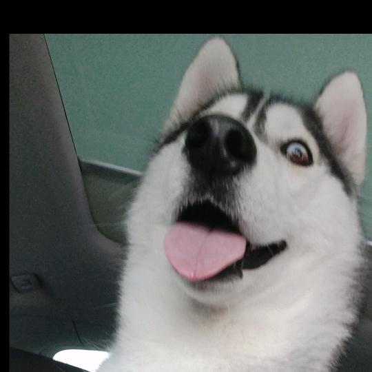 与时俱静💋💋