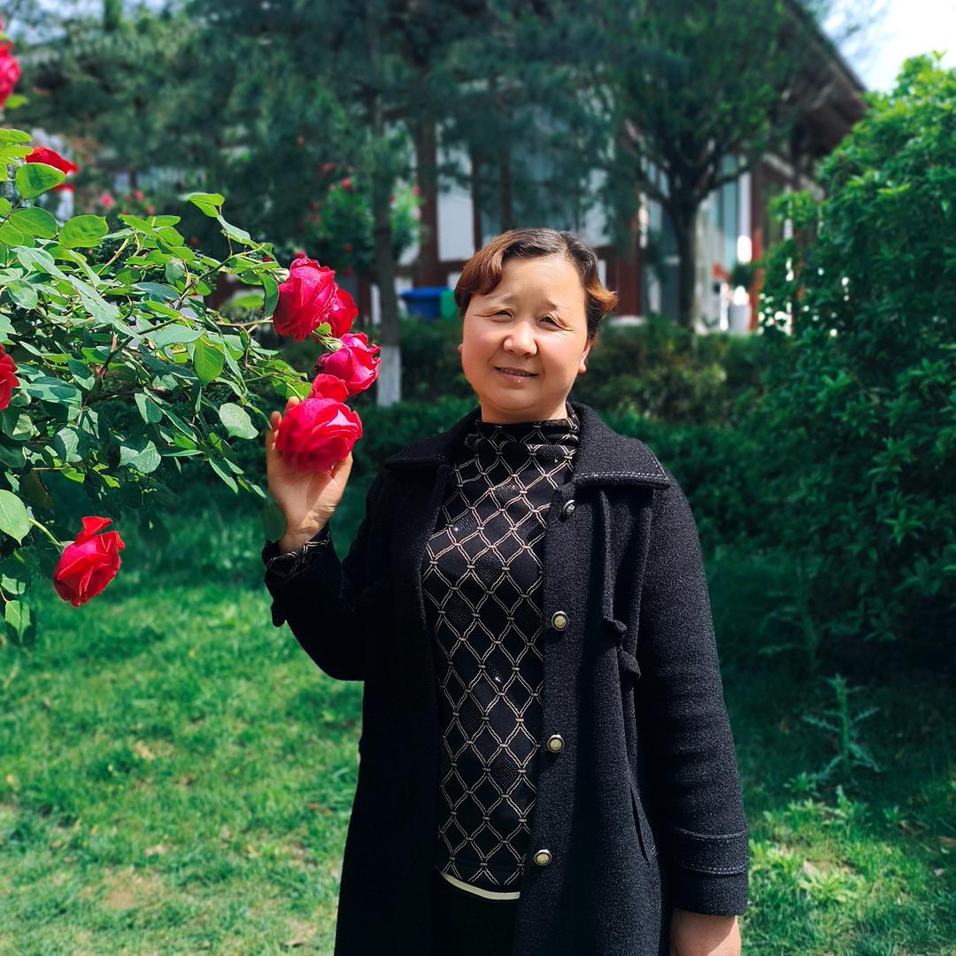 九月菊