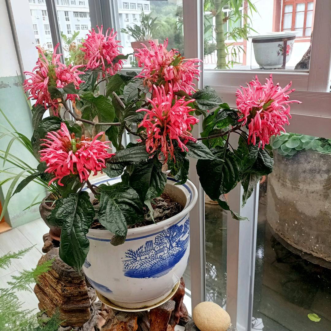 阿慧