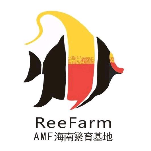 RF海水农场帅姐小丑鱼繁殖基地