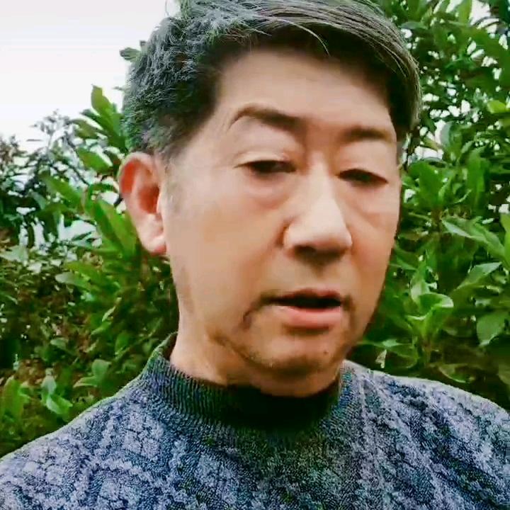 江湖主人:余强