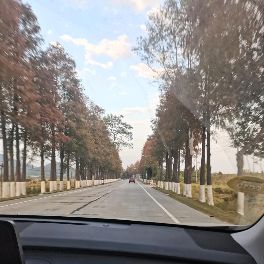 知柳