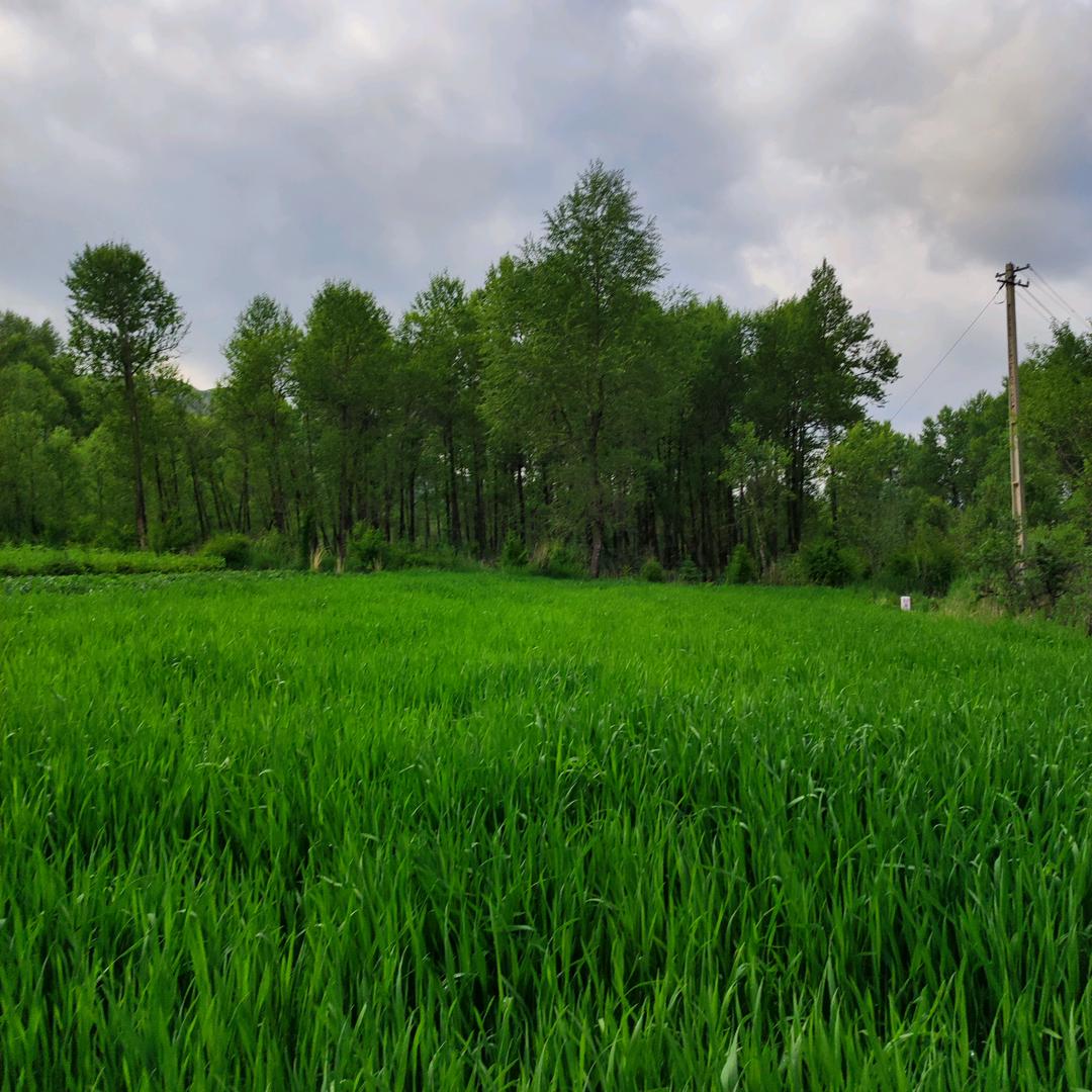 幸福满满过一生