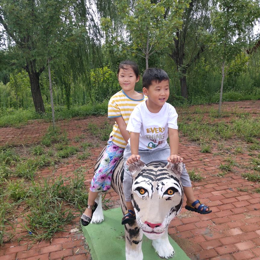 马永平高密精品装修