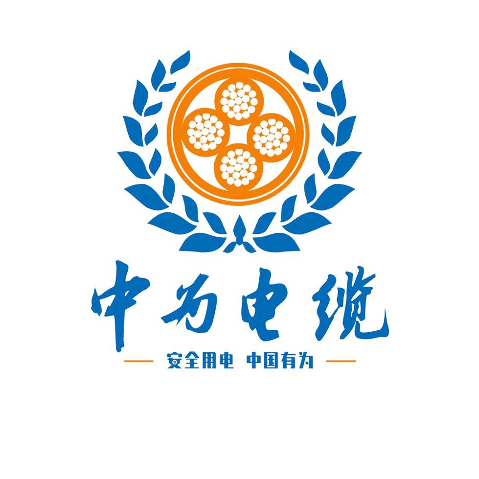 中为电缆