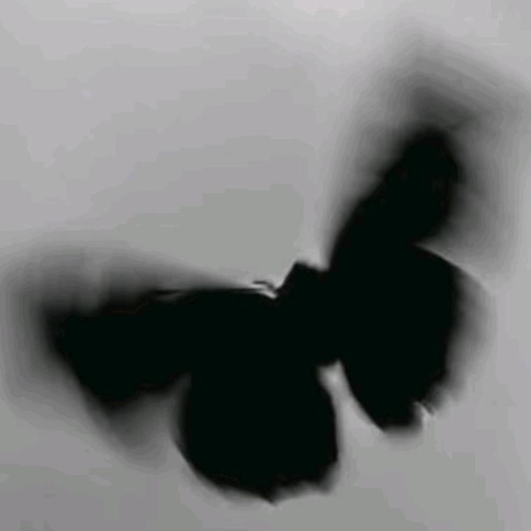在塔尔寺扫地