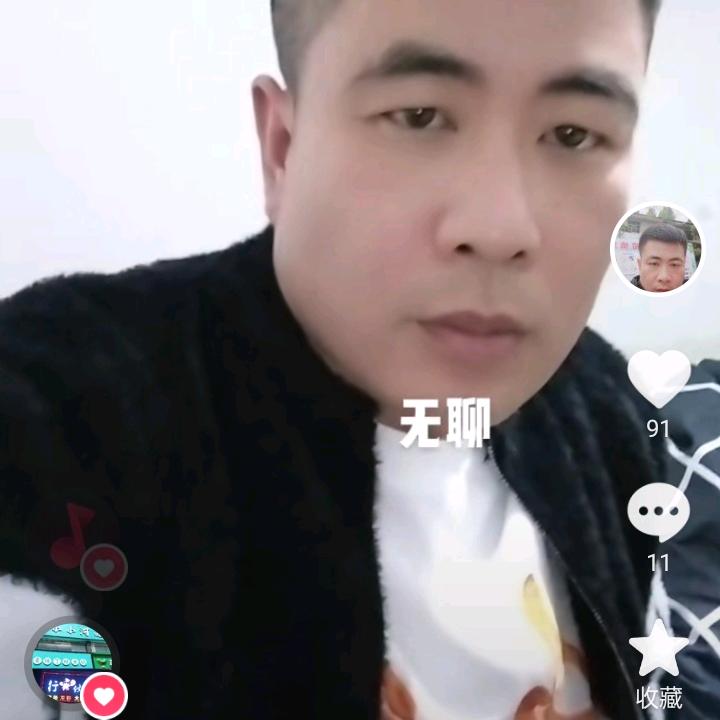 枫