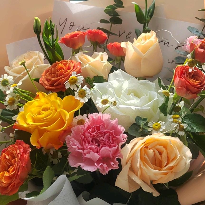 ε٩🌹一范风顺🌹۶ з