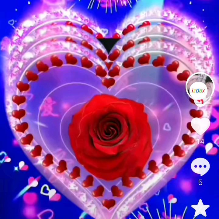 玫瑰🌹