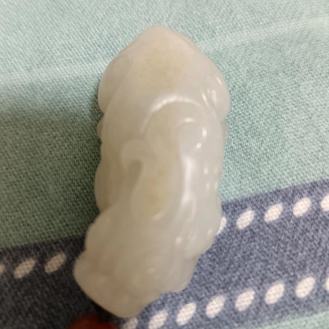会飞的鱼
