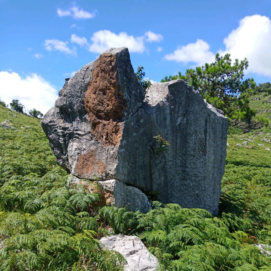 山娃
