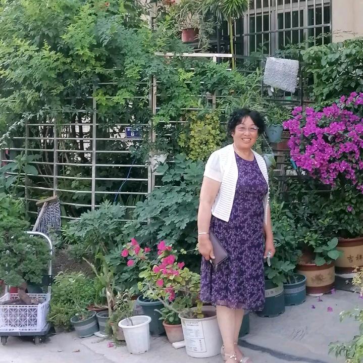 用户62046066清晨