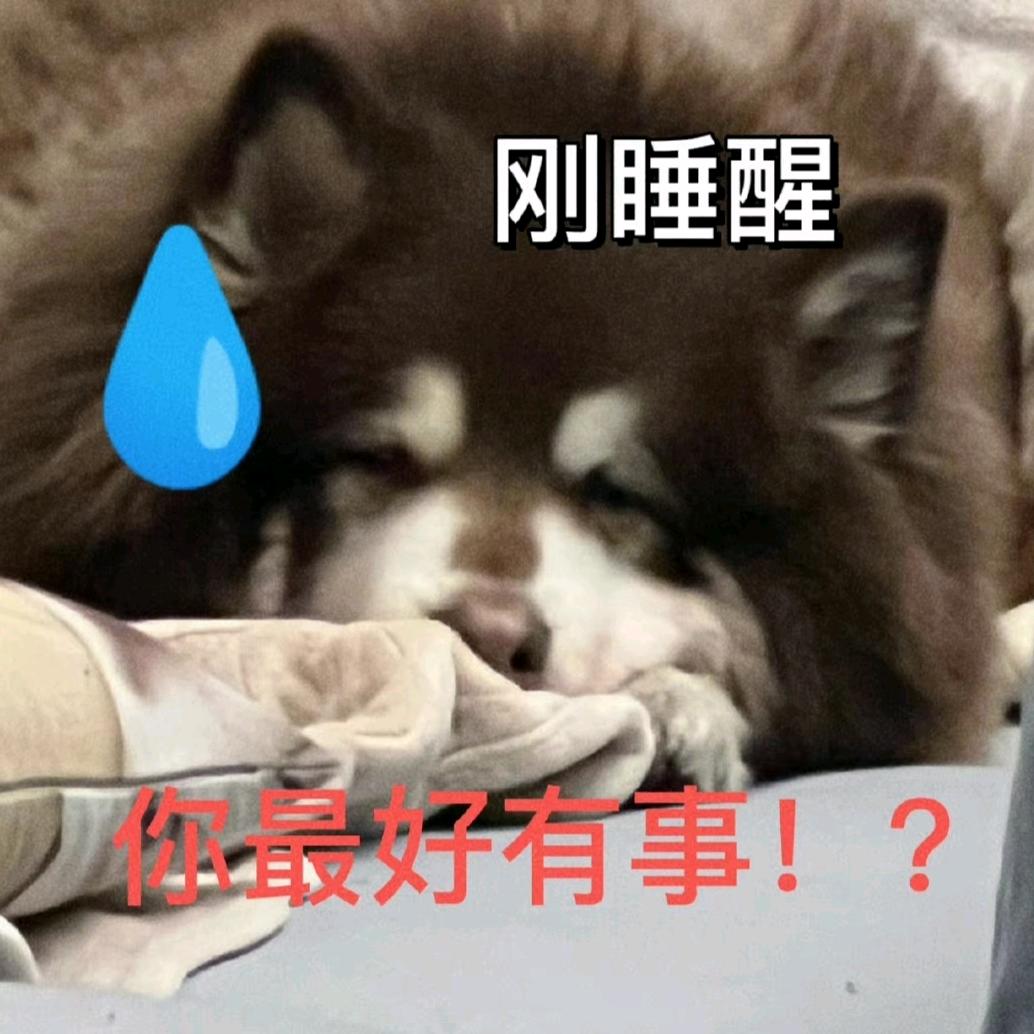 小黄鸭૮・ᴥ - ა 💤