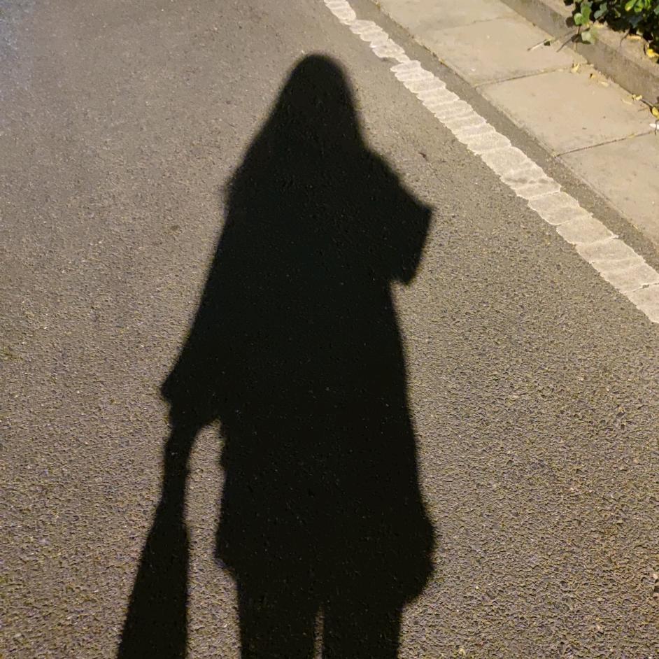 我讨厌楞次定律