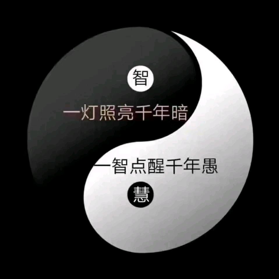 柏林•音画