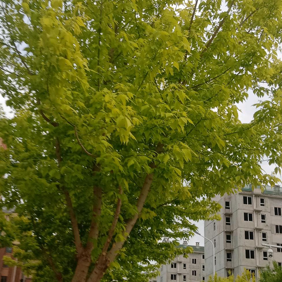 你们好