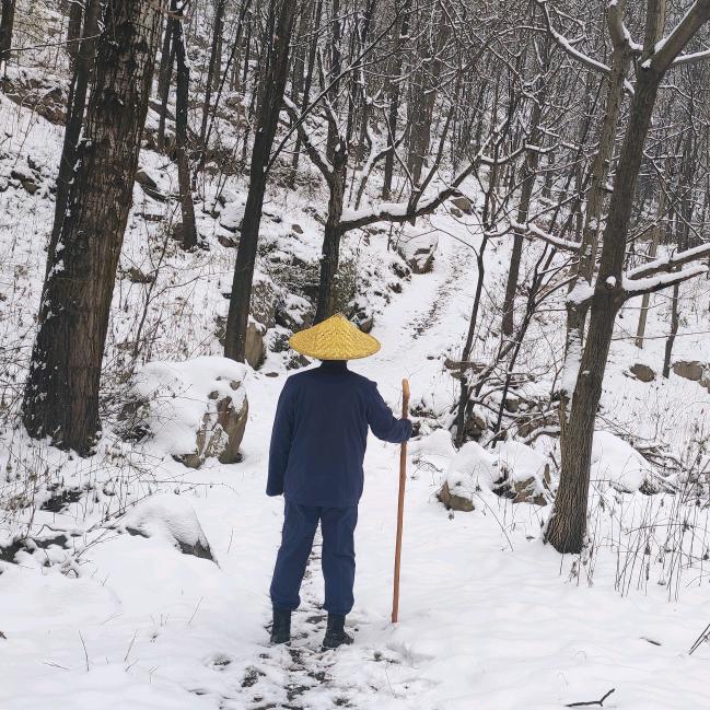 秦岭终南山居