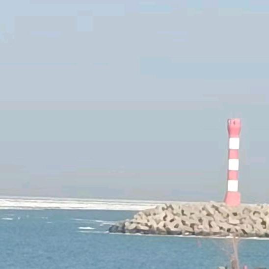 柏明