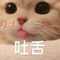 阿阳aaa