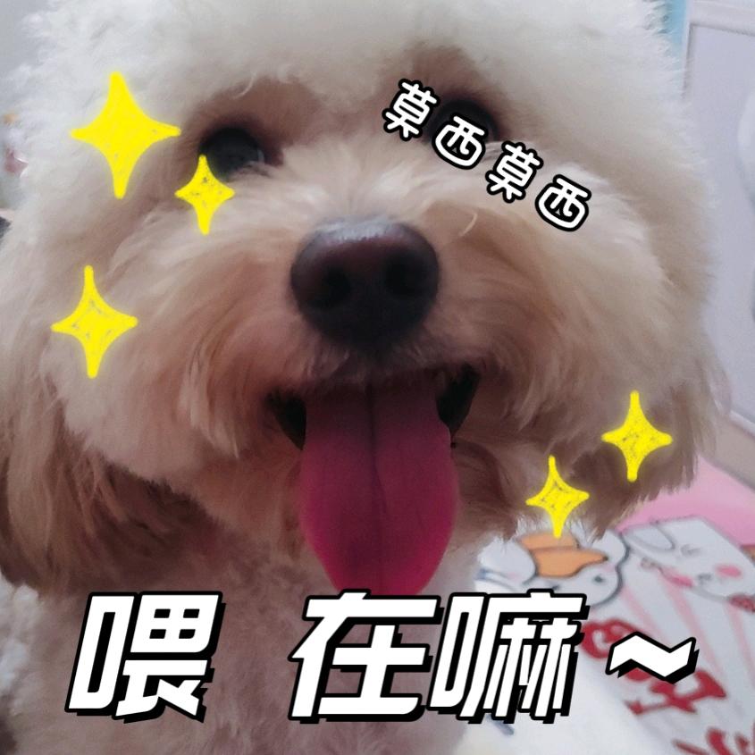 ꪶꪖꪗ ᦔꪮ᭙ꪀ