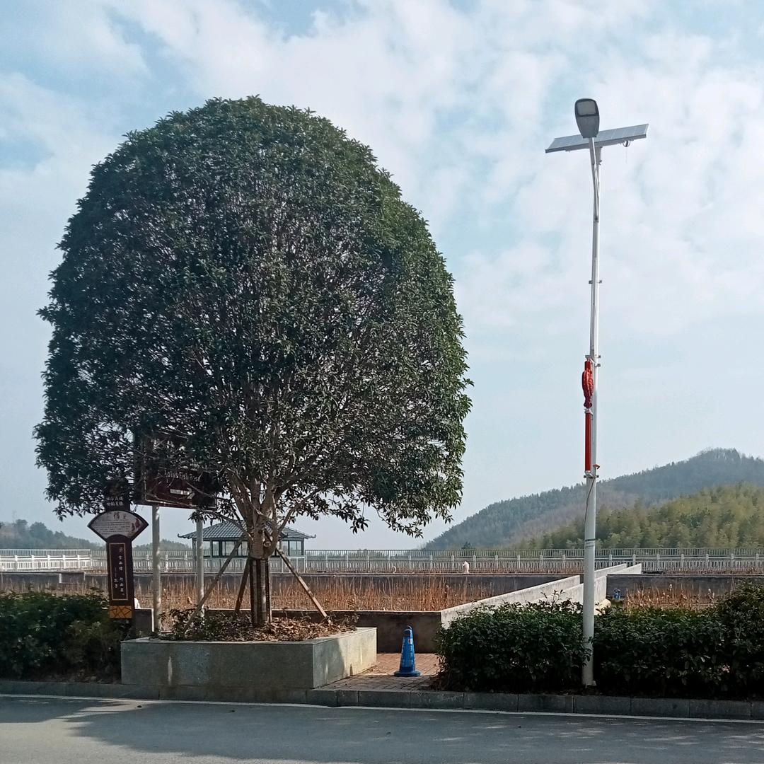 维尼亚索道头像