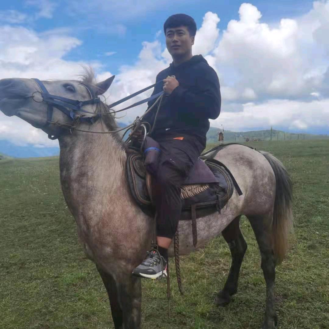 苏少