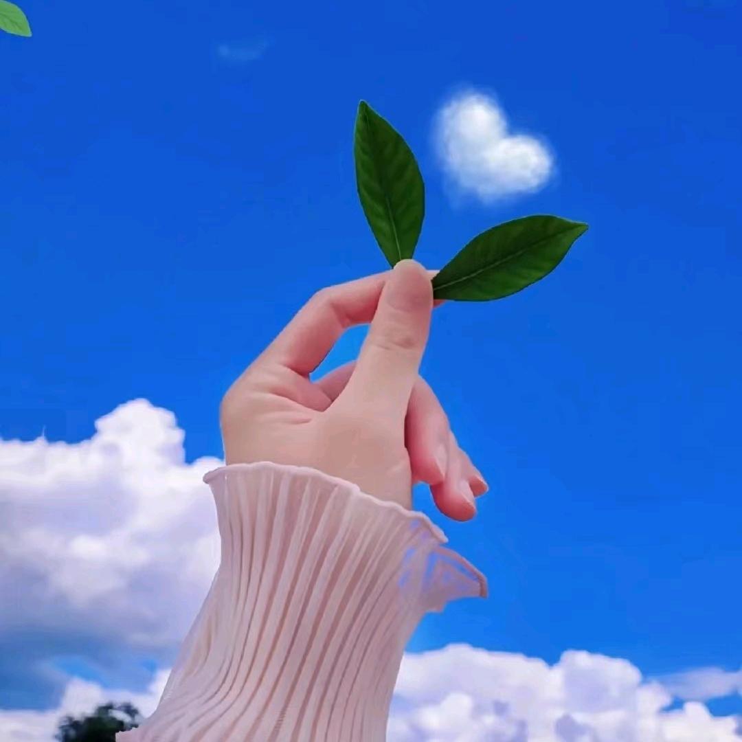 佳佳爱生活·