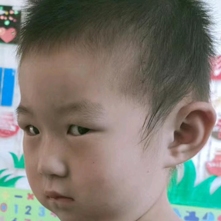 宾西法尼亚刺客