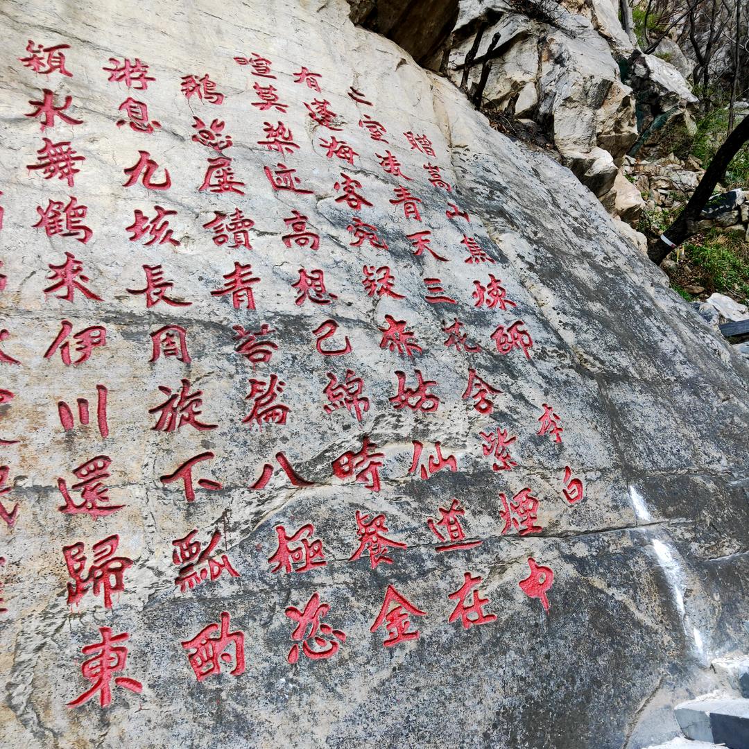 四宝🐯单身爸爸