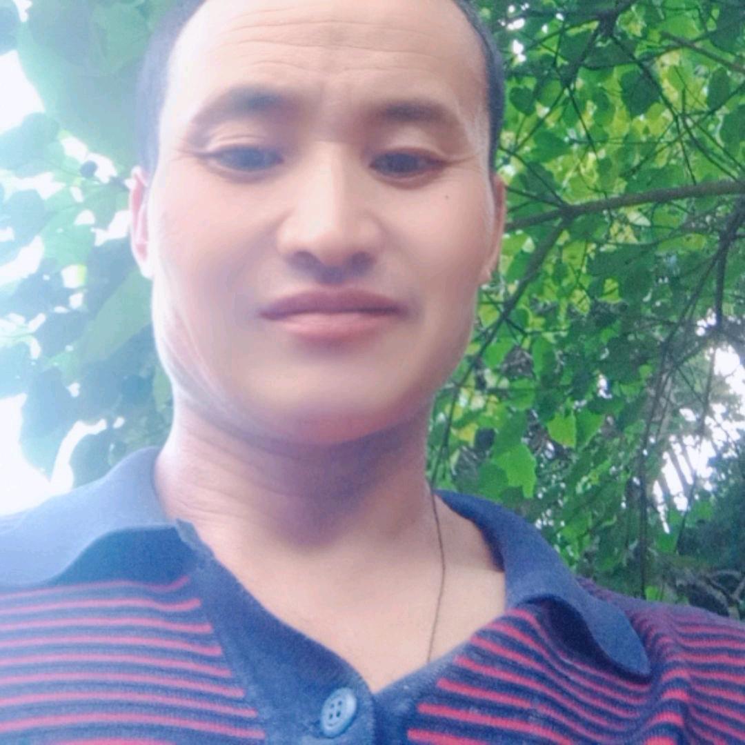 人爱人树爱佛
