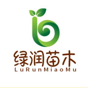 四川绿润金丝楠木种植基地