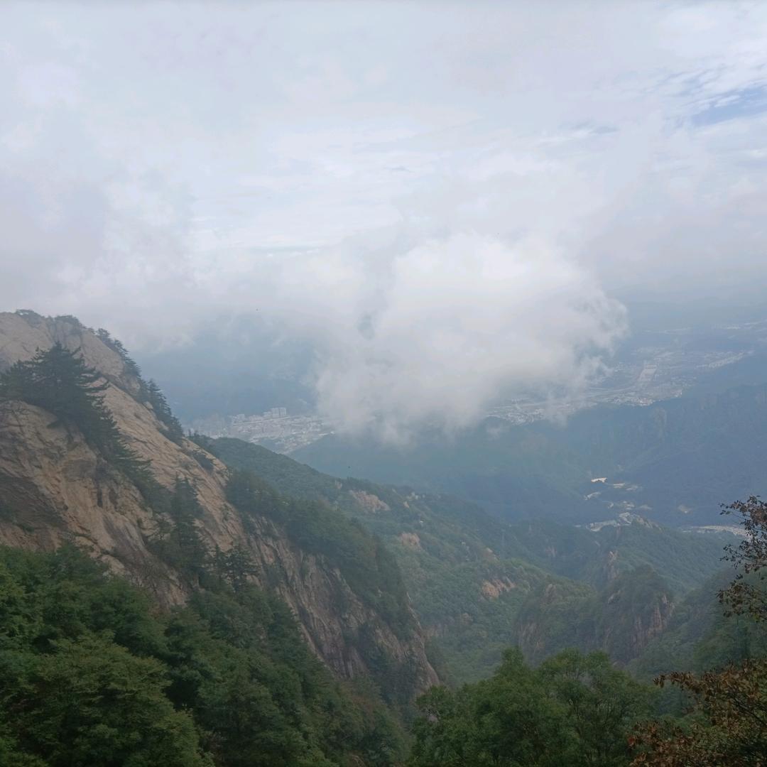 孙