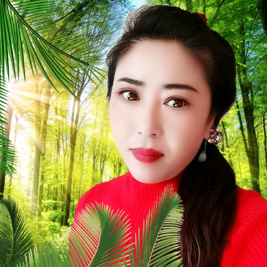 静姐《手机摄影》