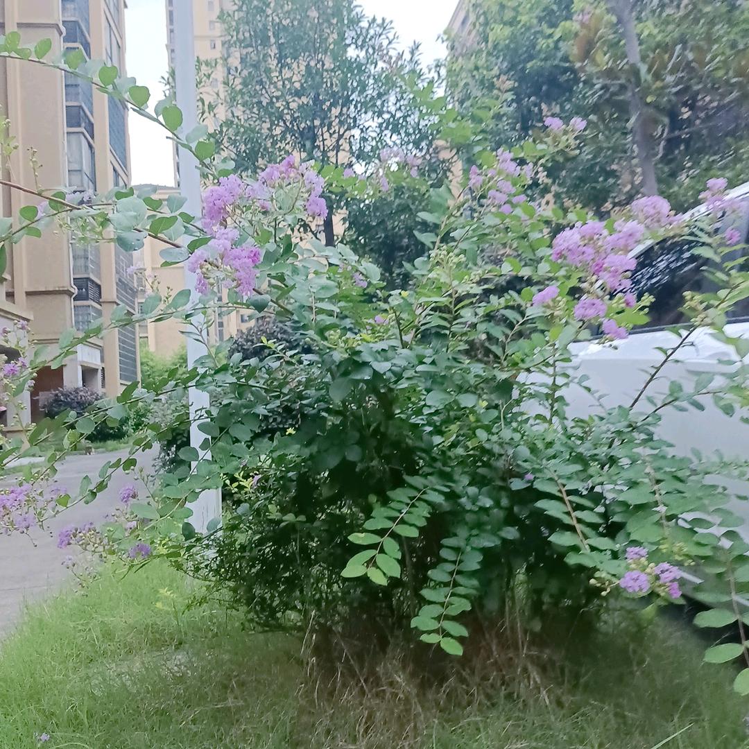 开心每一天🌹🌹🌹