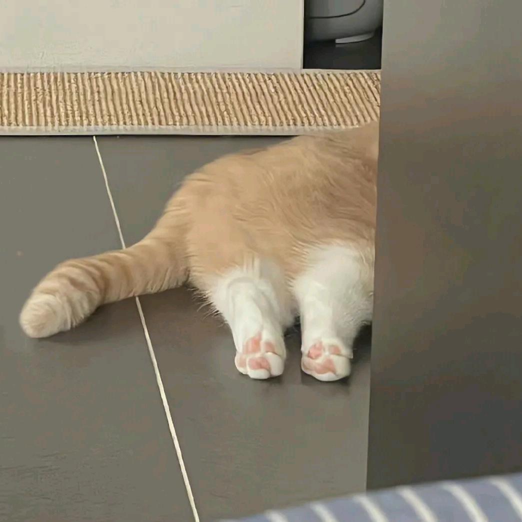 打瞌睡
