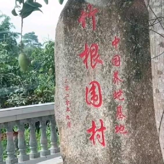 养蛇基地（中国）