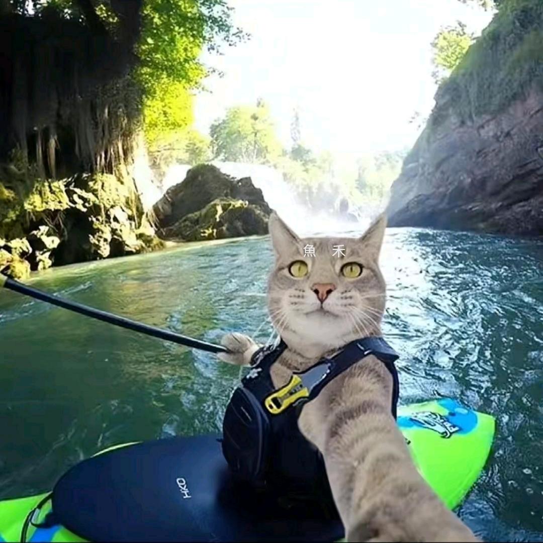魚禾