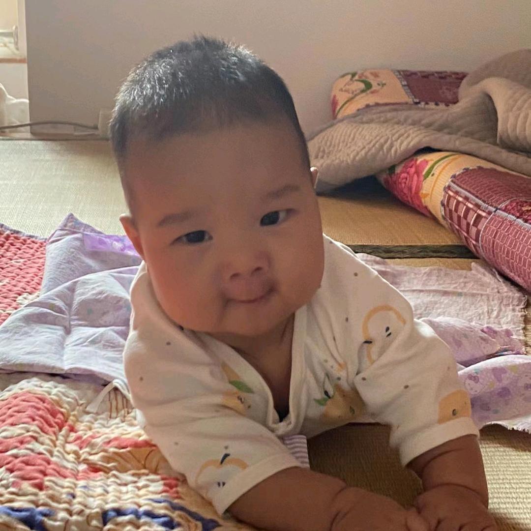 王鹭鹭飞
