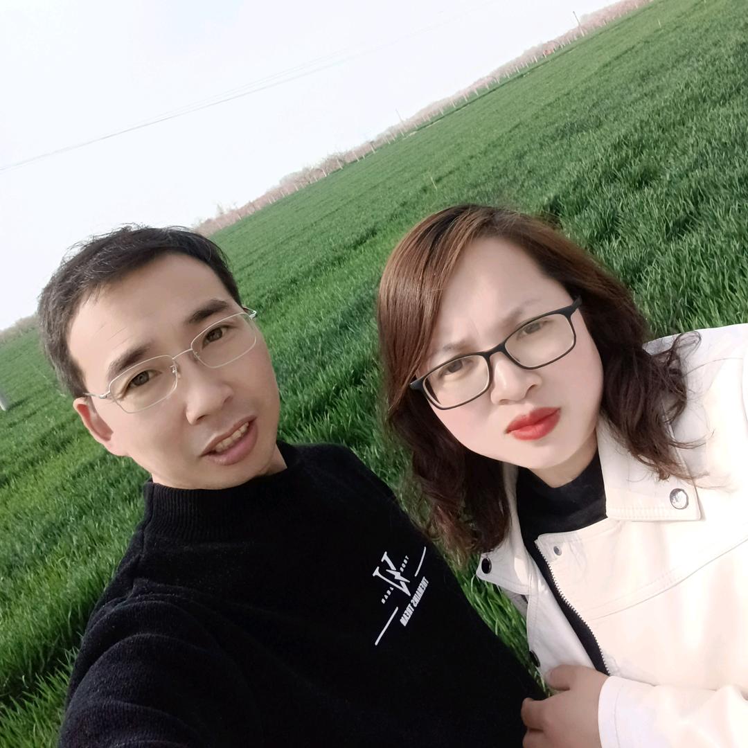 丢弃的爱情