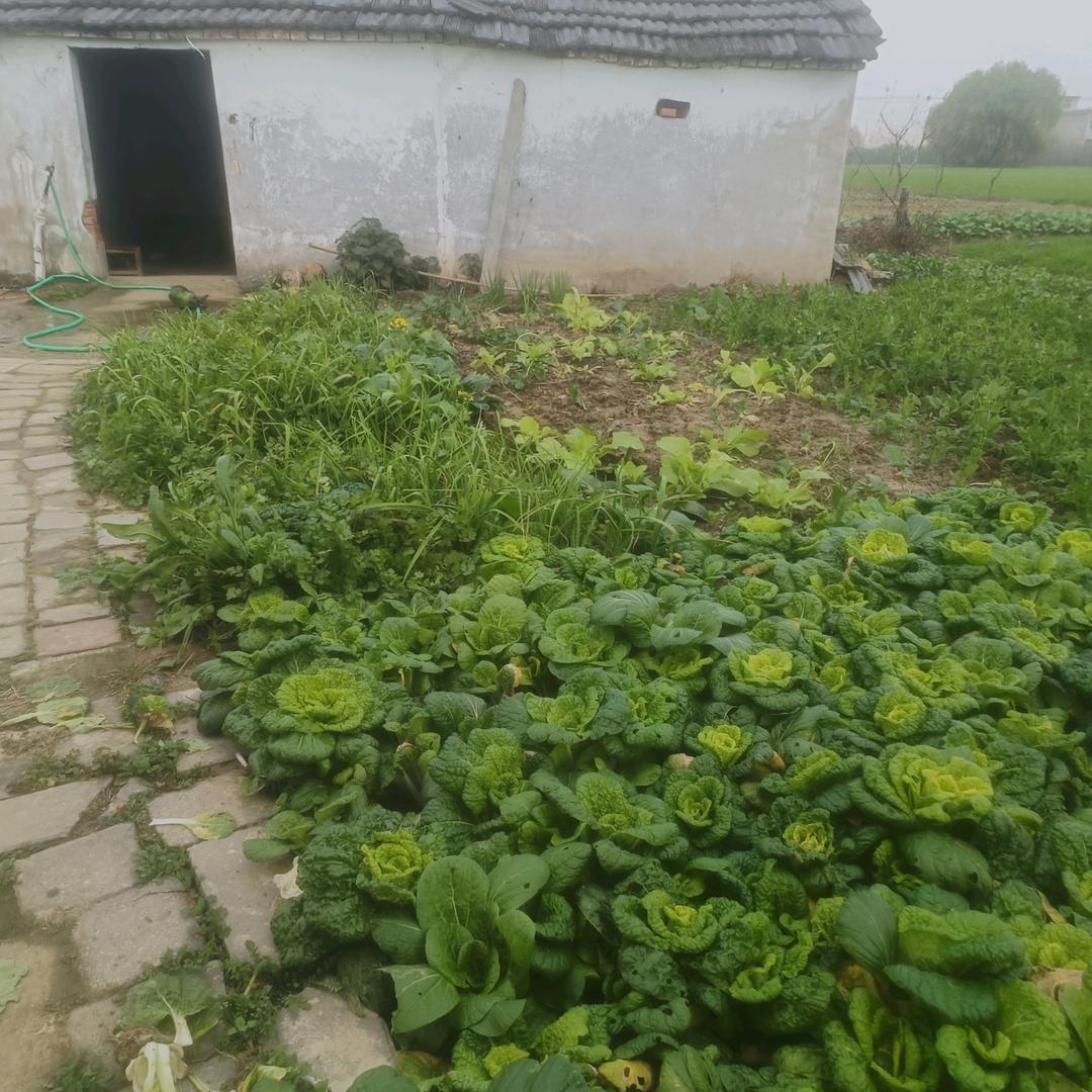 家有三宝。。。