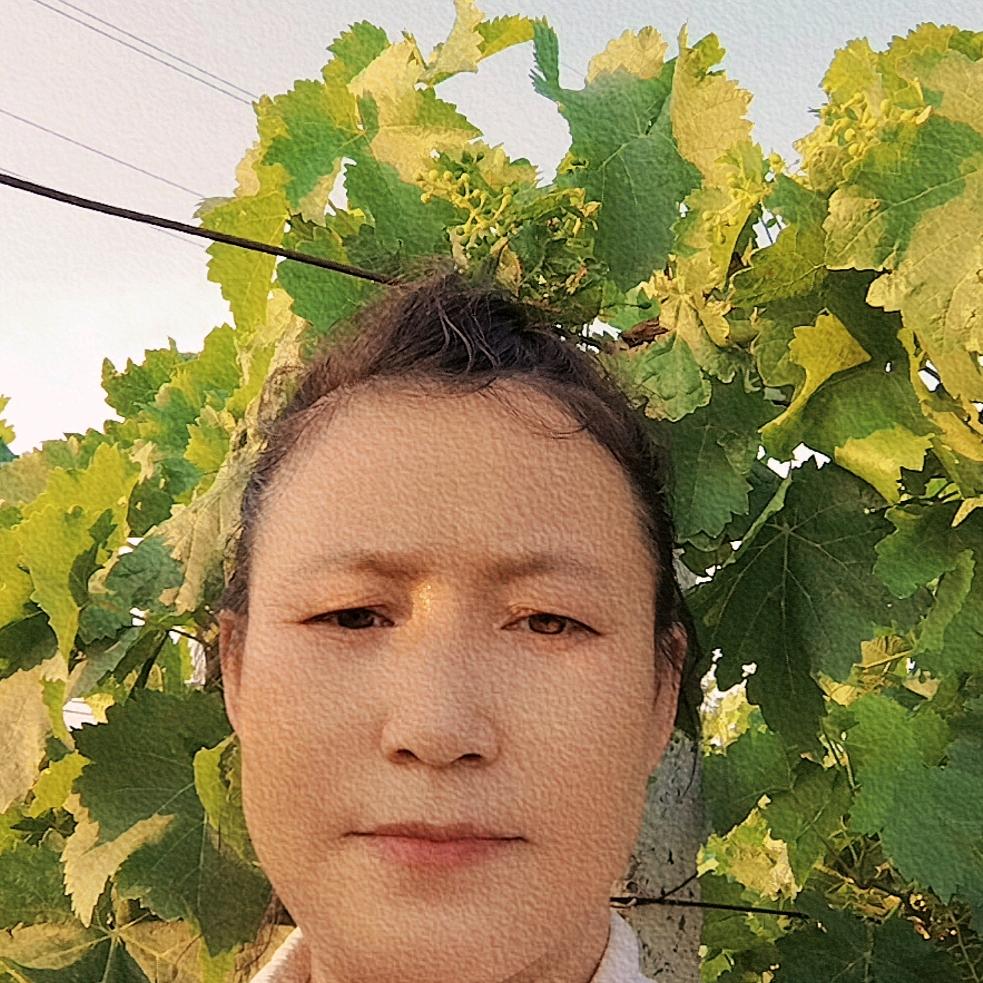 新疆博乐黄河儿女鼓舞团～晓伟