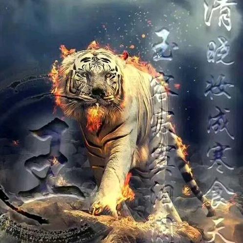 倔强的春哥