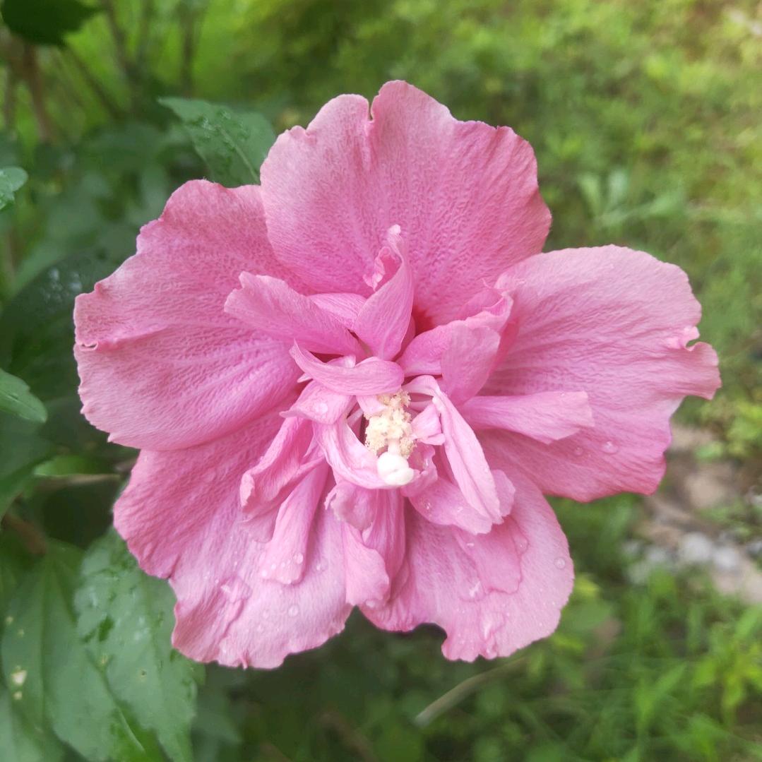 秋天落叶🌴🍀925